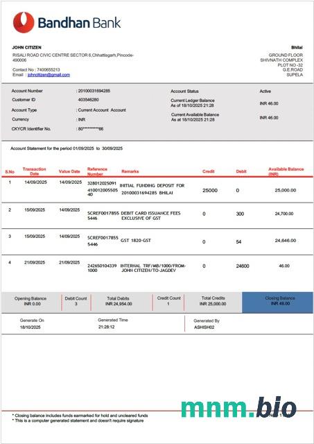 Indie AU Małe Finanse rachunek bankowy Wyciąg słowo i PDF szablon